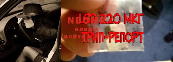 СК Беломорск